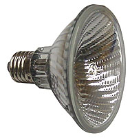 GE Lighting PAR 30