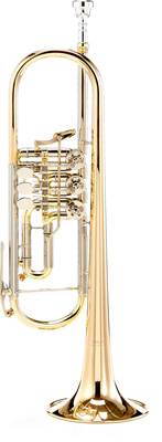 Yamaha YTR-436 G Trompete