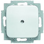 Compare prices and offers BJ Connection Plate, Blank, WH