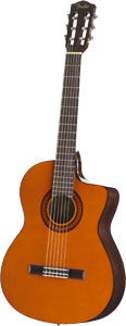 Fender CG4-CE Konzertgitarre (natur)