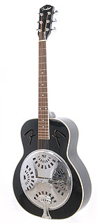 Steel Gitarren