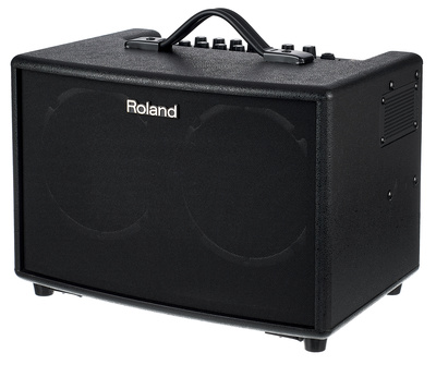 Roland AC60 Akustik Guitar Amp