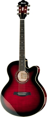 Ibanez AEL20E-TCS