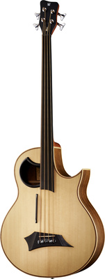 Warwick Alien Fretless