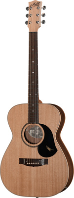Compare prices and offers EBG808L Acoustic Guitar