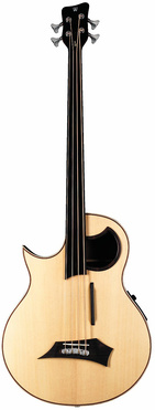 Warwick Alien Fretless LH