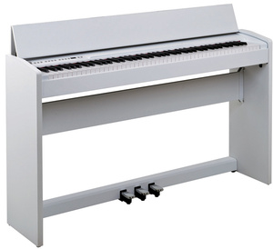 Compare prices and offers F-110 PW