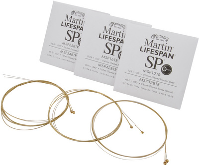 Compare prices and offers SP Lifespan MSP 6100