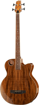 Compare prices and offers BCEBR6-N4 Acoustic Bass