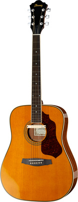 Ibanez SGE120-ATN