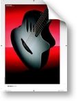 Guitarist  (04/2009)