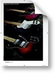 Guitarist  (10/2009)
