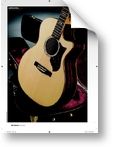 Guitarist  (08/2010)