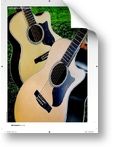 Guitarist 