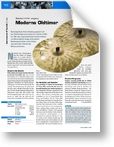 Drumheads  (05/2006)