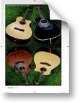 Takamine EF341SC Guitarist (04/2010)