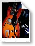 Ibanez AS73T-TCR Guitarist (00/00)