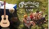 Martin Guitars LXM