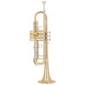 Miraphone M3000 16000 Bb-Trumpet in Trompetas Bb