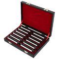 Harley Benton Blues Harmonica Set in Muzicuţe Diatonice