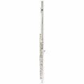 Altus 907 E Transverse Flute in Flutes (Closed Holes)