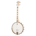 Deering Goodtime Openback Tenor in Banjos