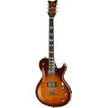 Schecter Solo Custom FSB in Modelos LP