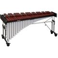Studio 49 RM 40/V Marimba A=443Hz in Marimbas