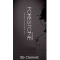 Forestone Reed German Bb-Clarinet F3 in B klarinetov&eacute; pl&aacute;tky (německ&eacute;)