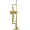 Carol Brass CTR-5000L-YST-Bb-L in Bb Trumpets