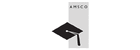 AMSCO PUBLICATIONS