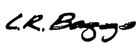 L.R.Baggs