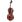 Stentor SR1108 Cello Student II 4/4 in Cellos