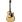 Walden D550CE G Natura in Dreadnought Gitarren