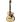 Walden T550CE in Miscellaneous Western Guitars
