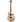 Rickenbacker 360 MG in Alternative Design Guitars
