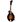 The Loar LM-520-VS in Mandoliner