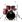 Pearl VB825F/B Vision Fusion Red Win in Fusion Drumsets
