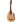 Godin Multiac Multioud Nylon in sonstige Saiteninstrumente
