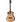 Walden B1E in Miscellaneous Western Guitars