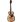Takamine TLE-M1 Limited Edition in Chitarre Folk 