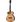 Walden B1 in Miscellaneous Western Guitars