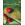 AMA Verlag The Classical Flute