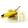 Gro�ansicht 2