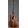 Gro�ansicht 11