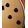 big view 8