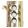 Gro�ansicht 20