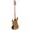 Vista grande 2