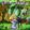 Gro�ansicht 2