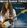 Gro�ansicht 1